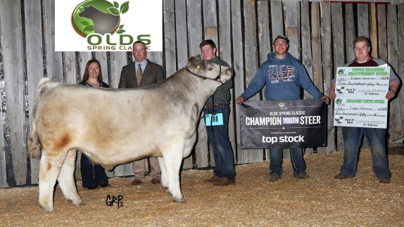 Champion Steer at the 2022 Spring Classic Steer and Heifer Show.